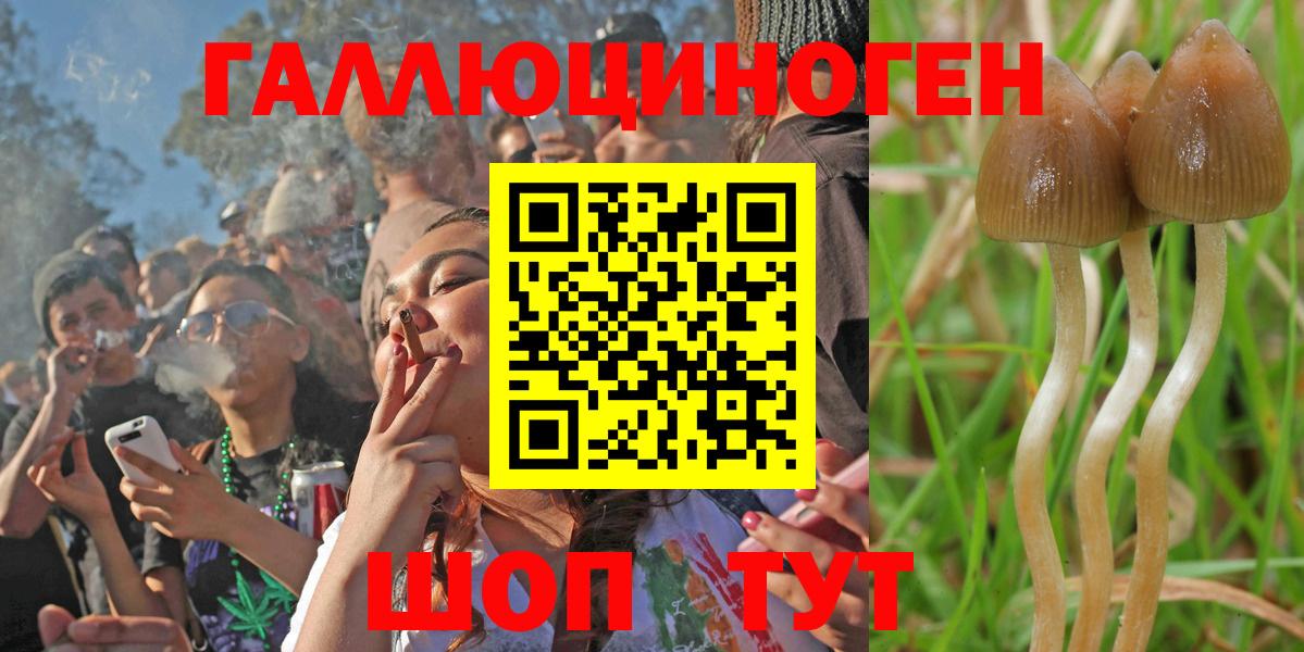 Псилоцибиновые грибы GOLDEN TEACHER Глазов