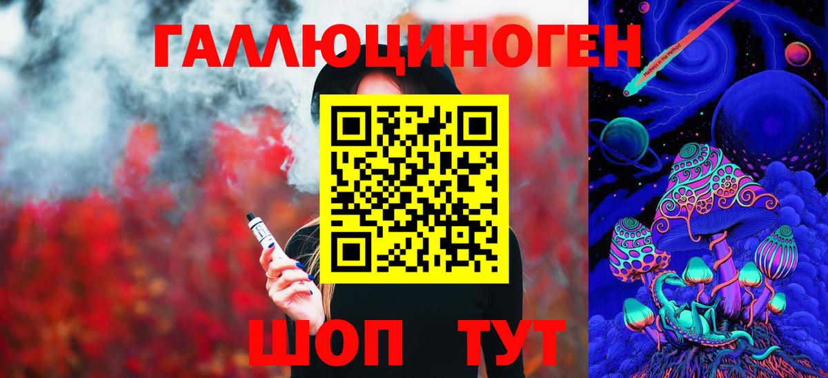 Псилоцибиновые грибы Psilocybine cubensis  Вход с VPN  Глазов 